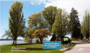 screenshot-2016-12-17-10-39-24