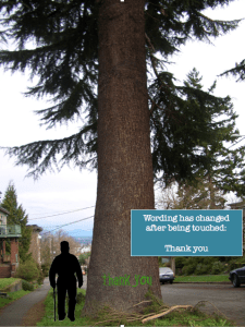 screenshot-2016-12-17-10-40-39